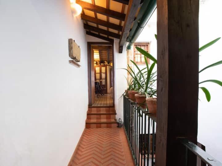 Historic House In The City Center إشبيلية المظهر الخارجي الصورة
